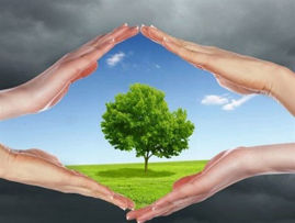 نقش روابط عمومی در توسعه پایدار محیط زیست